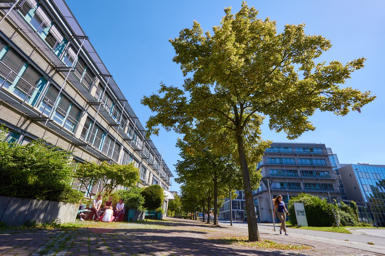 Image is not available